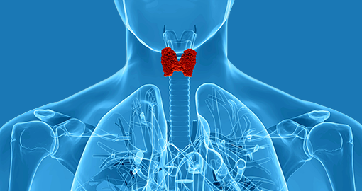 Папиллярная карцинома щитовидной железы